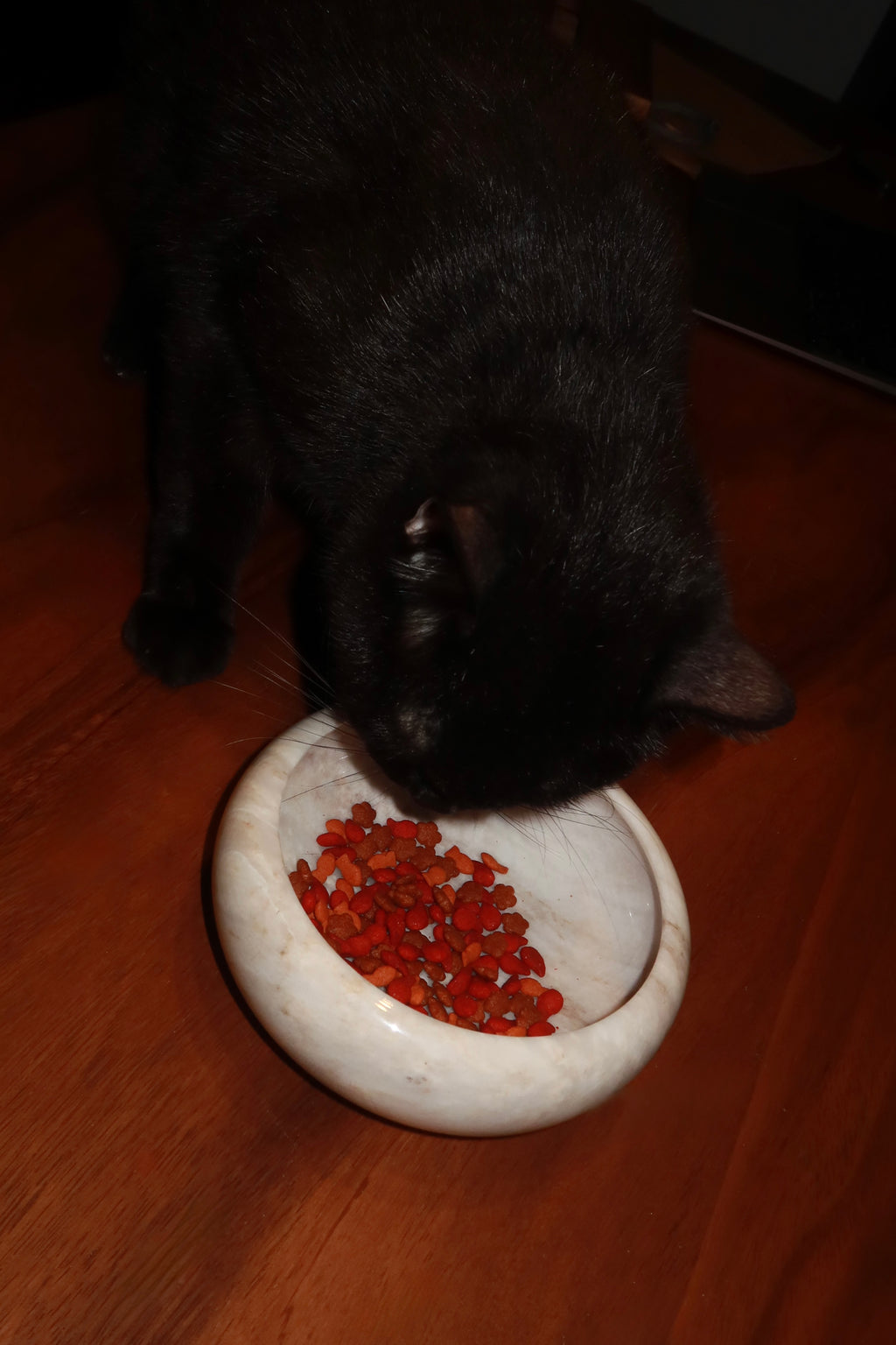 Marble Pet Bowl