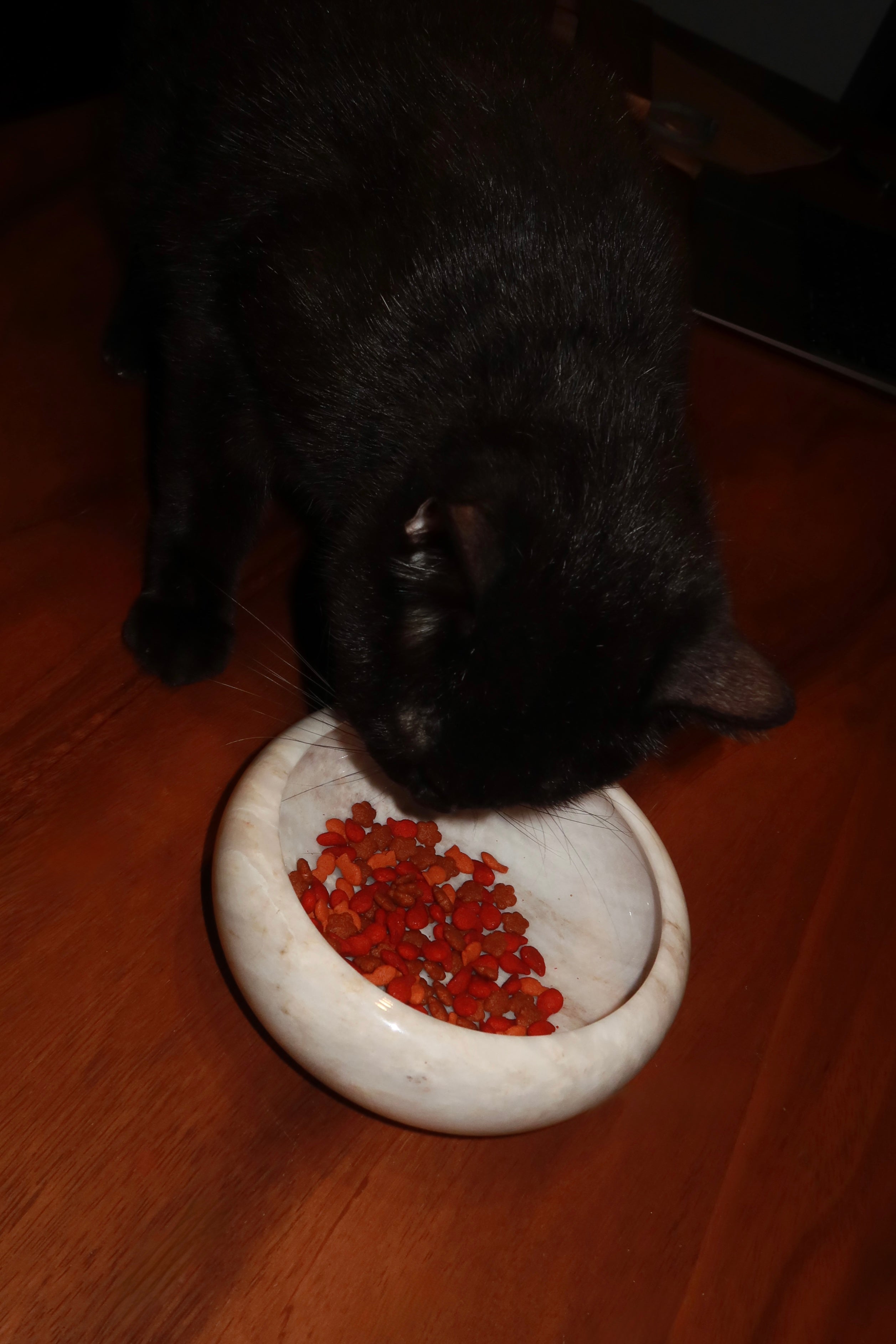 Marble Pet Bowl
